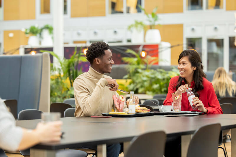 erifactu entrada en vigor