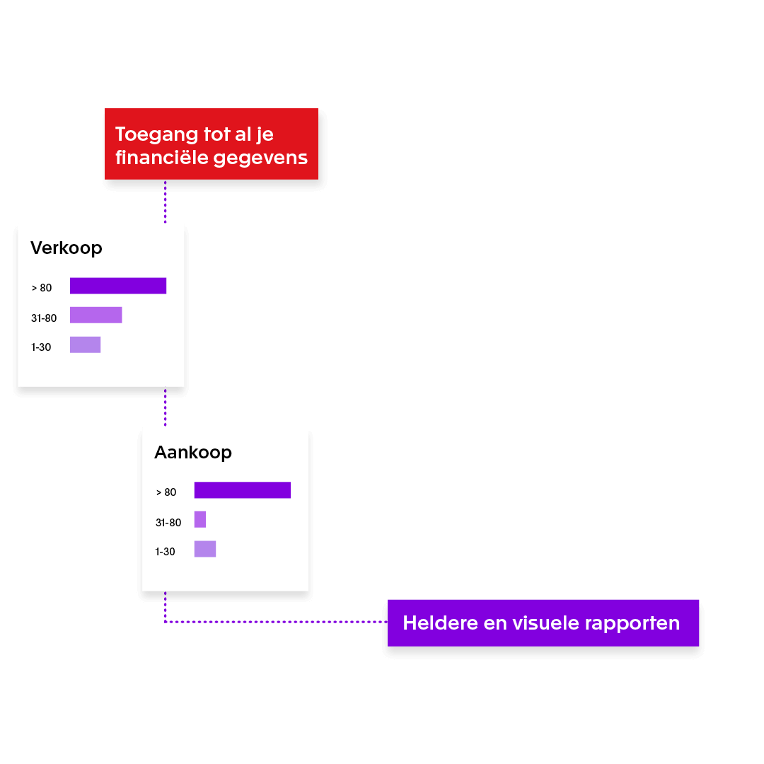 Heldere en visuele rapporten